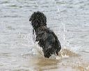 20140816-awd-0405
