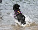 20140816-awd-0406