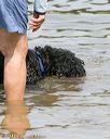 20140816-awd-0441