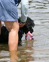 20140816-awd-0444
