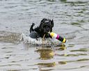 20140816-awd-0446