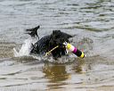 20140816-awd-0448