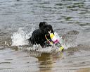 20140816-awd-0449
