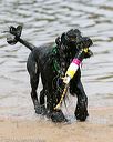 20140816-awd-0469