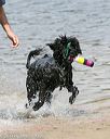 20140816-awd-0486