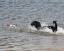 20140816-awd-0496