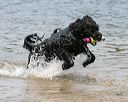 20140816-awd-0502