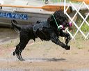20140816-awd-0510