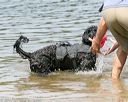 20140816-awd-0514