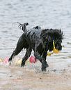 20140816-awd-0553