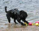 20140816-awd-0558
