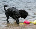 20140816-awd-0559