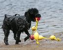 20140816-awd-0563