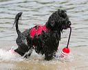 20140816-awd-0587