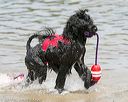 20140816-awd-0588