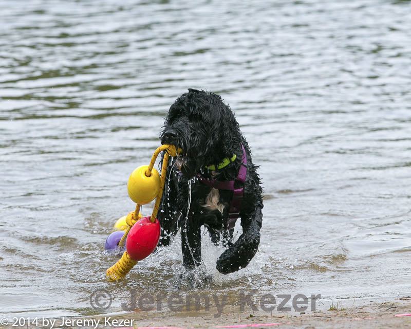 20140816-awd-0139.jpg