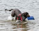 20140816-cwd-0007