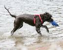 20140816-cwd-0009