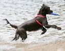 20140816-cwd-0011