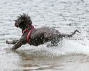 20140816-cwd-0014