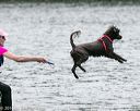 20140816-cwd-0018