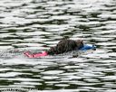 20140816-cwd-0027