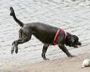 20140816-cwd-0042