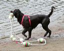 20140816-cwd-0048