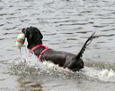 20140816-cwd-0054