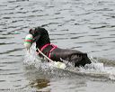 20140816-cwd-0056
