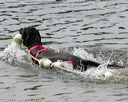 20140816-cwd-0057
