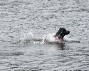 20140816-cwd-0095