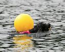 20140816-cwd-0101