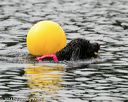 20140816-cwd-0102