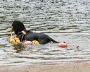 20140816-cwd-0146
