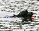 20140816-cwd-0154