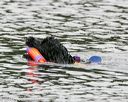 20140816-cwd-0157