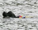 20140816-cwd-0162