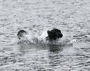 20140816-cwd-0170
