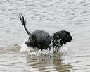 20140816-cwd-0199