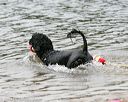 20140816-cwd-0212