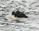 20140816-cwd-0227