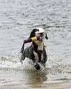 20140816-cwd-0268