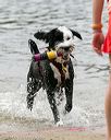 20140816-cwd-0271