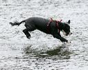 20140816-cwd-0287
