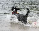 20140816-cwd-0307