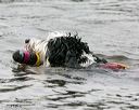 20140816-cwd-0322