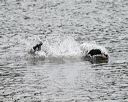 20140816-cwd-0331