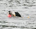 20140816-cwd-0342