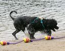 20140816-cwd-0367